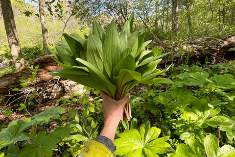 2026 Foraging: Forest to Table [Sat 2:00pm]